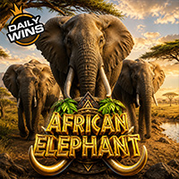 African Elephant